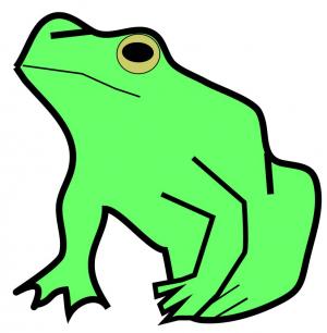 アマガエル